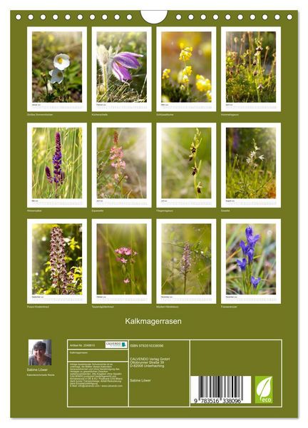Produktbild: Kalkmagerrasen (Wandkalender 2026 DIN A4 hoch), CALVENDO Monatskalender