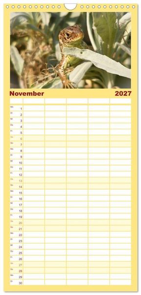 Produktbild: Familienplaner 2027 - Minisaurier im Garten mit 5 Spalten (Wandkalender, 21 x 45 cm) CALVENDO