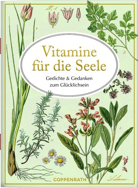 Schöne Grüße: Vitamine für die Seele (AUGUSTINA), Broschur von , Coppenrath Verlag GmbH & Co. KG, 978-3-649-64891-8