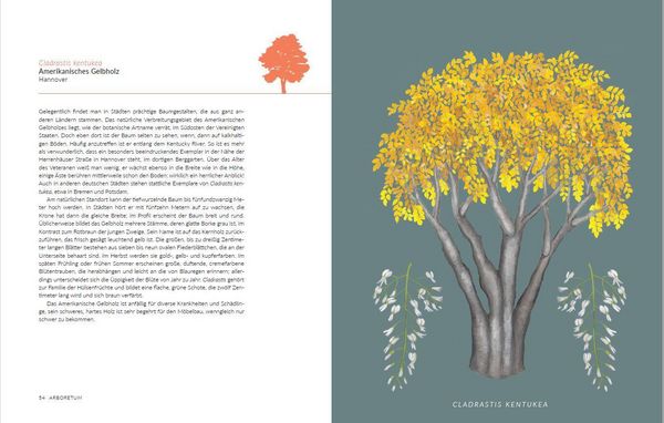 Produktbild: Arboretum. 70 B&auml;ume - 70 St&auml;dte