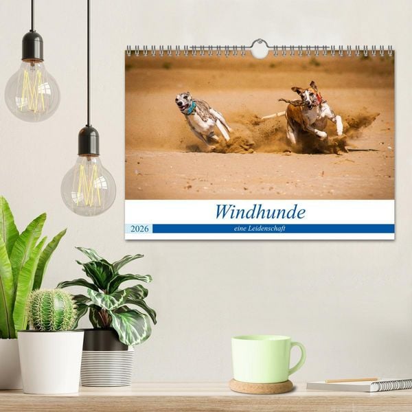 Produktbild: Windhunde - eine Leidenschaft (Wandkalender 2026 DIN A4 quer), CALVENDO Monatskalender