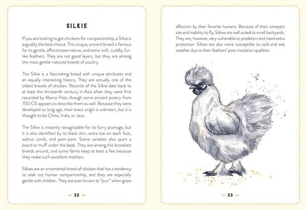 Produktbild: The Little Book of Chickens