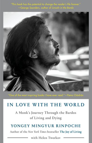 Produktbild: In Love with the World