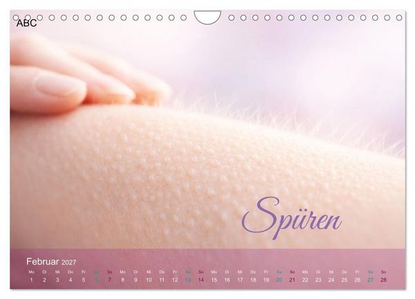 Produktbild: Sinnesmomente - Eine Reise durch die Wahrnehmung (Wandkalender 2027 DIN A4 quer), CALVENDO Monatskalender