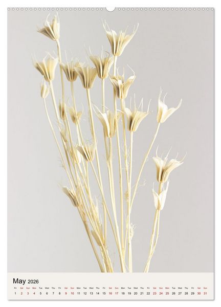 Produktbild: Dried Flowers (High Quality Premium Wall Calendar 2026 DIN A2 portrait),CALVENDO 12 Month Wall Calendar