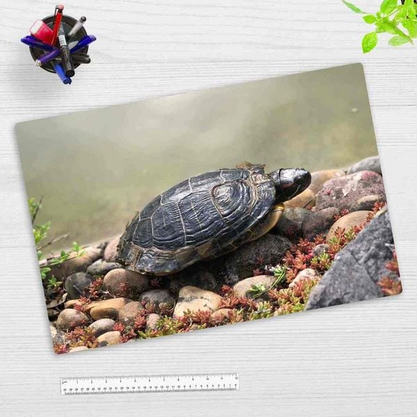 Produktbild: Cover-your-desk Schreibtischunterlage f&uuml;r Kinder und Erwachsene Schildkr&ouml;te am Wasser, aus hochwertigem Vinyl, 60 x 40 cm