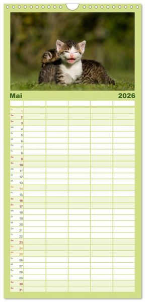Produktbild: Familienplaner 2026 - L&auml;chelnd durchs Jahr - Katzenkinder -Familienplaner hoch mit 5 Spalten (Wandkalender, 21 x 45 cm) CALVENDO