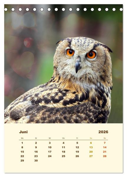 Produktbild: Uhu, die Faszination bernsteinfarbener Augen (Tischkalender 2026 DIN A5 hoch), CALVENDO Monatskalender