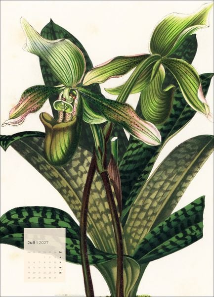 Produktbild: Botanicals Kalender 2027