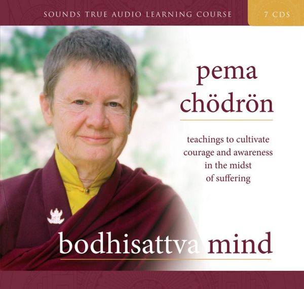 Produktbild: Bodhisattva Mind: Teachings to Cultivate Courage and Awareness in the Midst of Suffering