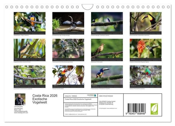 Produktbild: Costa Rica 2026 Exotische Vogelwelt (Wandkalender 2026 DIN A4 quer), CALVENDO Monatskalender