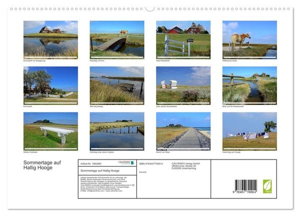 Produktbild: Sommertage auf Hallig Hooge (hochwertiger Premium Wandkalender 2026 DIN A2 quer), Kunstdruck in Hochglanz