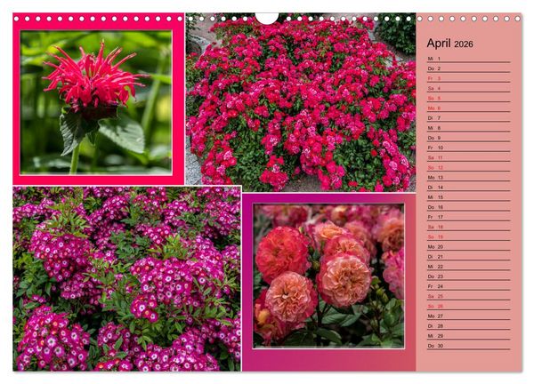 Produktbild: Gartenschau in Erfurt (Wandkalender 2026 DIN A3 quer), CALVENDO Monatskalender