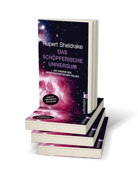 Das schöpferische Universum