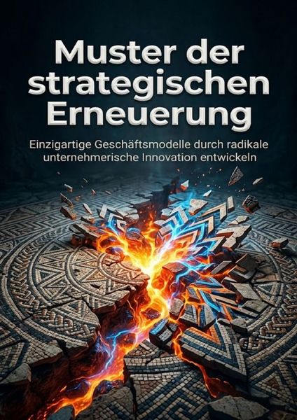 Produktbild: Muster der strategischen Erneuerung