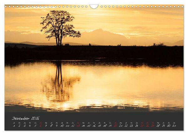 Produktbild: Natur erleben Seewinkel-Neusiedlersee (Wandkalender 2026 DIN A3 quer), CALVENDO Monatskalender