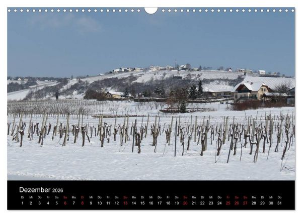 Produktbild: Weinidylle im S&uuml;dburgenland (Wandkalender 2026 DIN A3 quer), CALVENDO Monatskalender