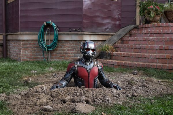 Produktbild: Ant-Man