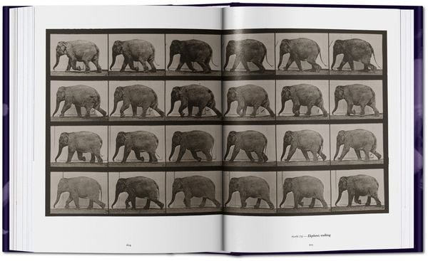 Produktbild: Muybridge. The Human and Animal Locomotion Photographs