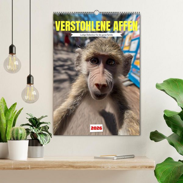 Produktbild: Verstohlene Affen - Lustige Diebestour f&uuml;r die ganze Familie (Wandkalender 2026 DIN A2 hoch), CALVENDO Monatskalender