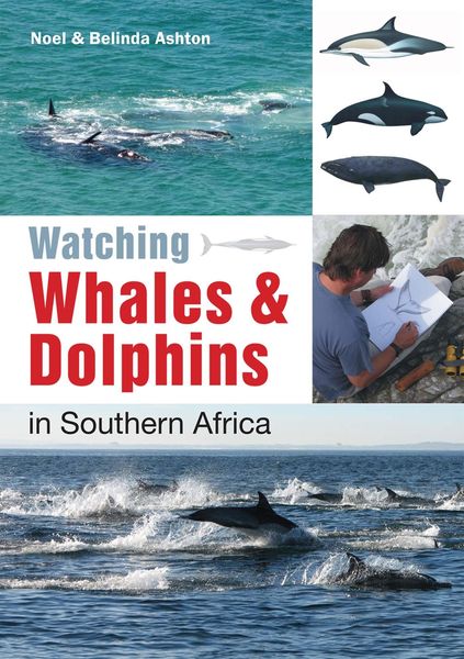 Produktbild: Watching Whales & Dolphins in Southern Africa