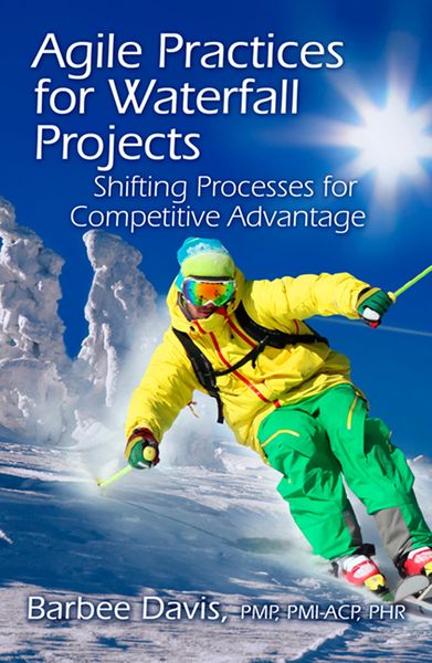 Produktbild: Agile Practices for Waterfall Projects