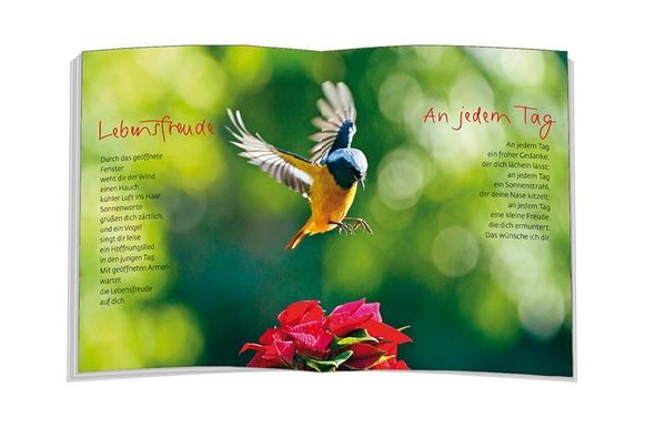 Produktbild: Ich w&uuml;nsch dir gute Besserung