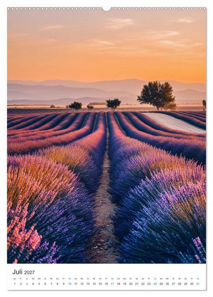Produktbild: Der Sommer bl&uuml;ht violett (hochwertiger Premium Wandkalender 2027 DIN A2 hoch), Kunstdruck in Hochglanz