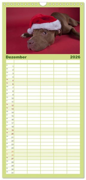 Produktbild: Familienplaner 2026 - Pit Bull und Co. - Geliebt, gef&uuml;rchtet, missverstanden mit 5 Spalten (Wandkalender, 21 x 45 cm) CALVENDO