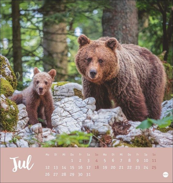 Produktbild: B&auml;renstark Postkartenkalender 2027