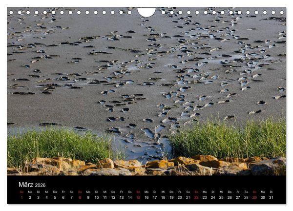Produktbild: Wattenmeer (Wandkalender 2026 DIN A4 quer), CALVENDO Monatskalender