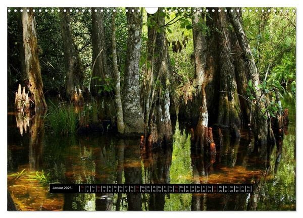 Produktbild: Florida Impressionen (Wandkalender 2026 DIN A3 quer), CALVENDO Monatskalender