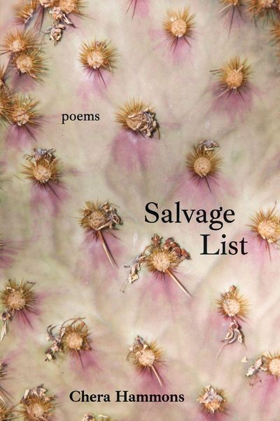Produktbild: Salvage List
