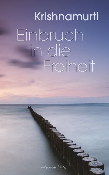 Produktbild: Einbruch in die Freiheit