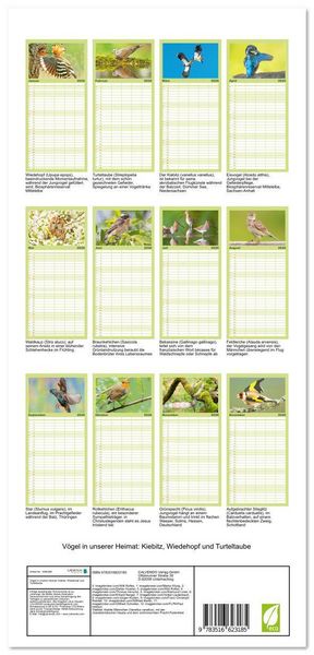 Produktbild: Familienplaner 2026 - V&ouml;gel in unserer Heimat: Kiebitz, Wiedehopf und Turteltaube mit 5 Spalten (Wandkalender, 21 x 45 cm) CALVENDO