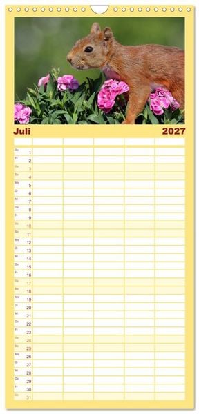 Produktbild: Familienplaner 2027 - Eichh&ouml;rnchen in zauberhaften Posen mit 5 Spalten (Wandkalender, 21 x 45 cm) CALVENDO