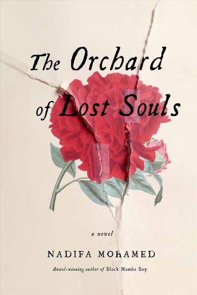 Produktbild: Orchard Of Lost Souls