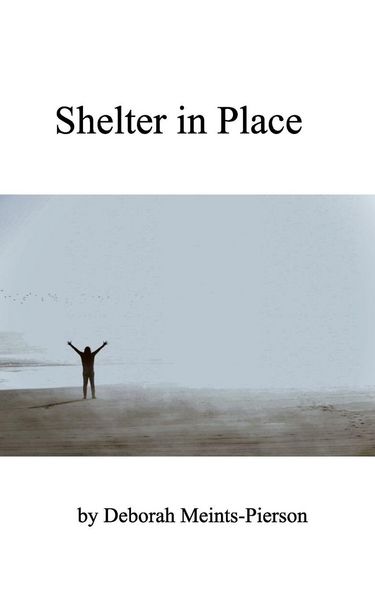 Produktbild: Shelter in Place