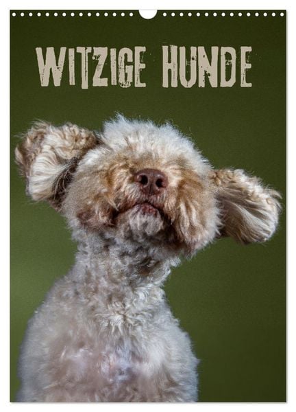 Witzige Hunde (Wandkalender 2025 DIN A3 hoch), CALVENDO Monatskalender