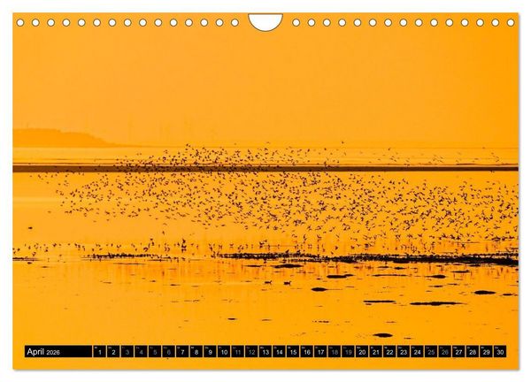 Produktbild: Einzigartige Strandansichten auf Amrum (Wandkalender 2026 DIN A4 quer), CALVENDO Monatskalender