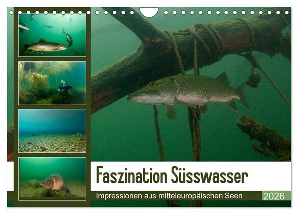 Produktbild: Faszination S&uuml;sswasser (Wandkalender 2026 DIN A4 quer), CALVENDO Monatskalender
