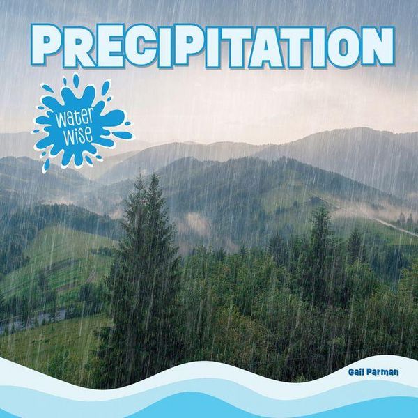 Produktbild: Precipitation