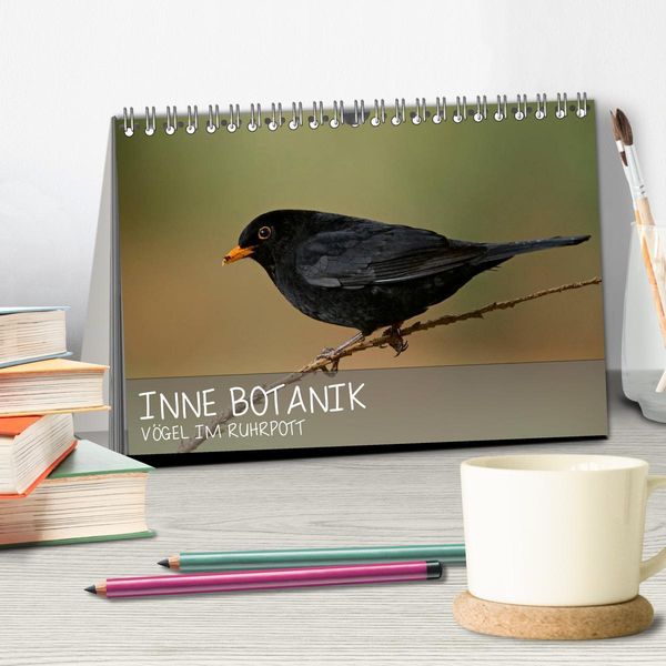 Produktbild: INNE BOTANIK - V&ouml;gel im Ruhrpott (Tischkalender 2026 DIN A5 quer), CALVENDO Monatskalender