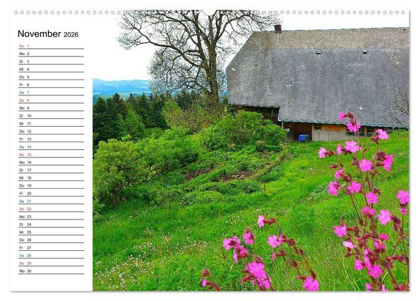 Produktbild: Landleben (Wandkalender 2026 DIN A2 quer), CALVENDO Monatskalender