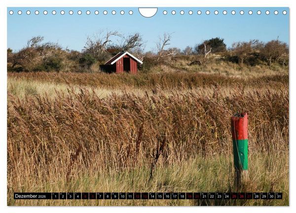 Produktbild: Insel Baltrum, Perle im Ostfriesischen Wattenmeer (Wandkalender 2026 DIN A4 quer), CALVENDO Monatskalender