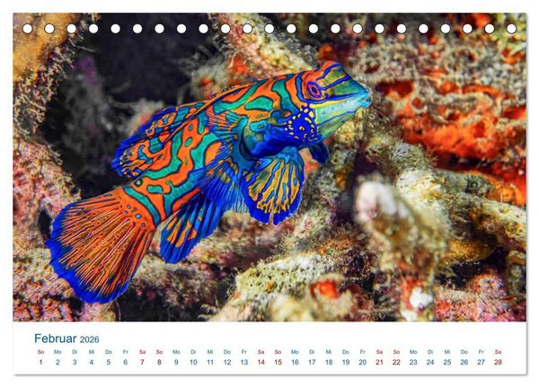 Produktbild: Die Farben im Meer (Tischkalender 2026 DIN A5 quer), CALVENDO Monatskalender