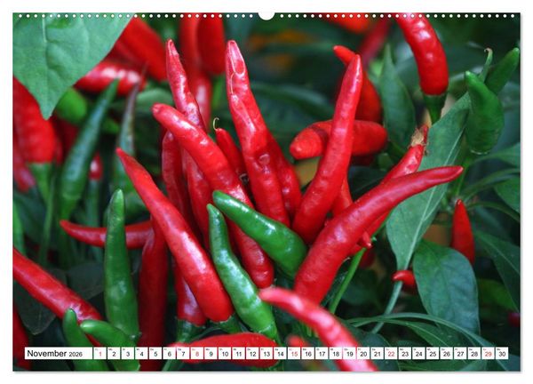 Produktbild: F&uuml;r Chili Liebhaber (hochwertiger Premium Wandkalender 2026 DIN A2 quer), Kunstdruck in Hochglanz