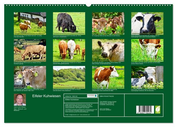 Produktbild: Eifeler Kuhwiesen (hochwertiger Premium Wandkalender 2026 DIN A2 quer), Kunstdruck in Hochglanz