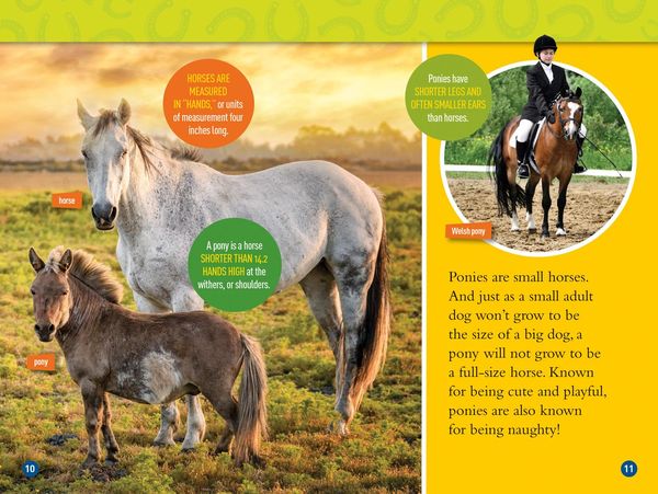 Produktbild: Gallop! (National Geographic Kids Readers, Level 3/Fact Reader)