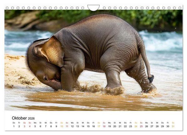 Produktbild: Elefanten Kinder - kleine Riesen (Wandkalender 2026 DIN A4 quer), CALVENDO Monatskalender
